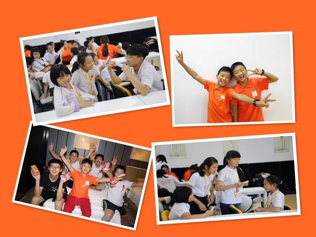 14.webp
